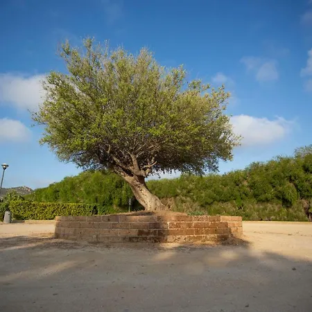 فندق Papaveri E Grano